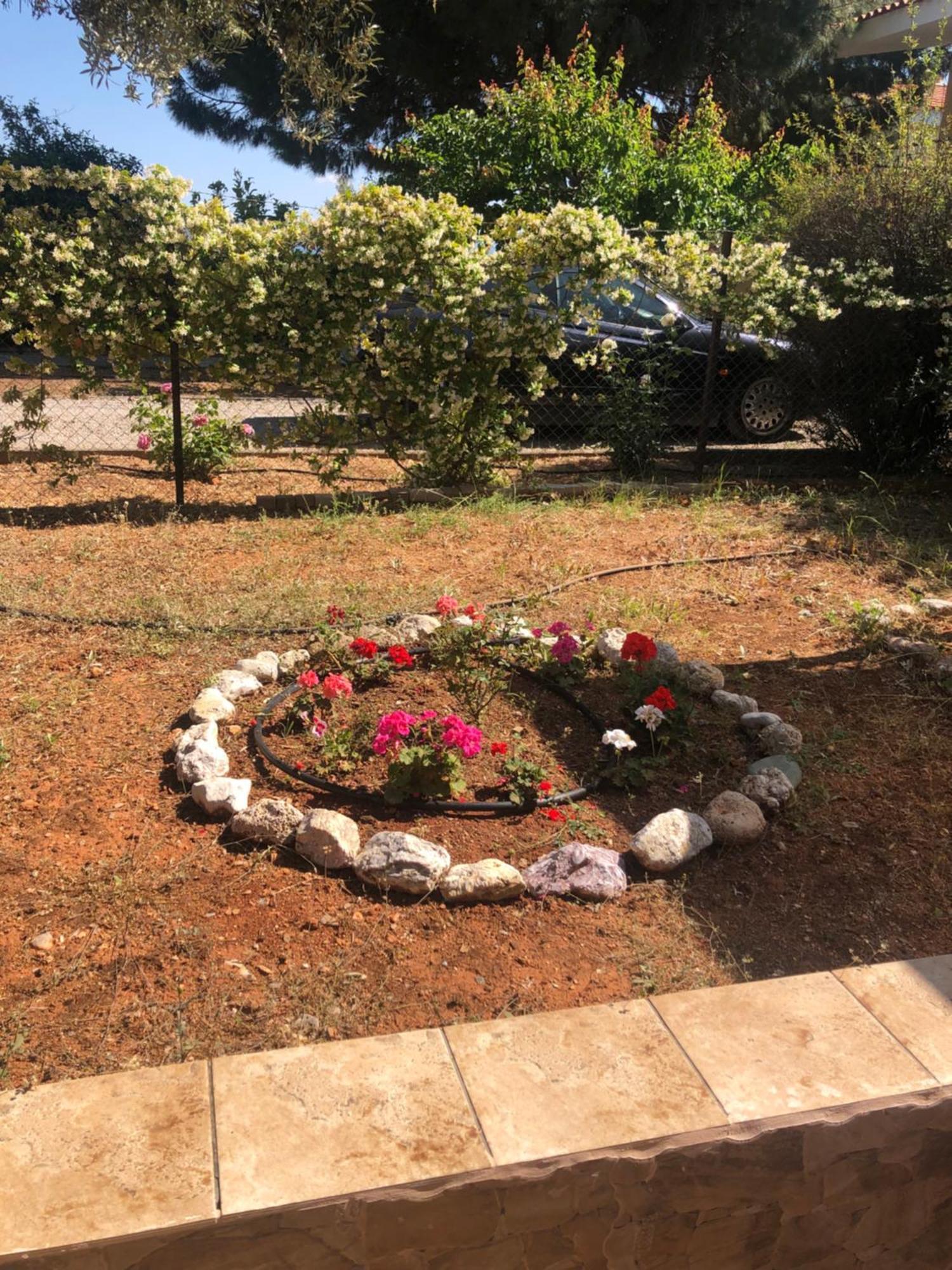 Apartment Evenik Eretria (Evia)